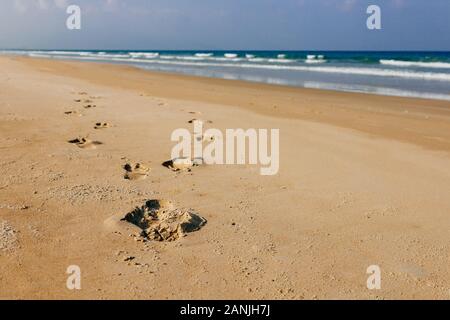 Bella, vuoto tropical spiaggia di sabbia bianca, piccole onde del mare sullo sfondo. Skyline con cielo blu e nuvole bianche, in Asia. Lasciando le tracce sulla SAN Foto Stock