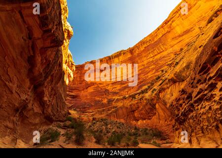 Lavare a Capitol Reef National Park nello Utah Foto Stock