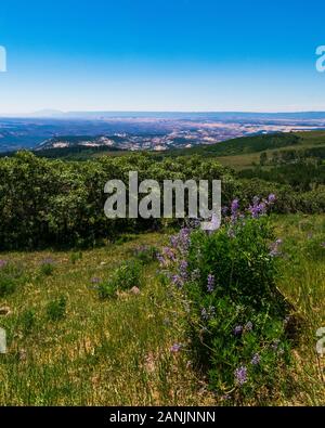 La grande scala-ESCALANTE monumento nazionale Foto Stock