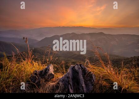 Tramonto a Doi Pha Tang, Chiang Rai, Thailandia. Foto Stock