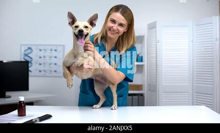 Sorridente vet medico di accarezzare il cane sorridente alla clinica veterinaria, Animale salute checkup Foto Stock