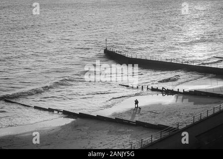 Silhouette di una giovane coppia che abbraccia su una spiaggia mentre il loro cane sorge accanto a loro. La spiaggia dispone di pennelli e l'immagine è in bianco e nero visto f Foto Stock