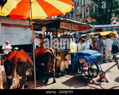 MUMBAI, India - 9 Aprile 2019: un sacco di persone e di vacche nel mercato di strada. Folla Foto Stock