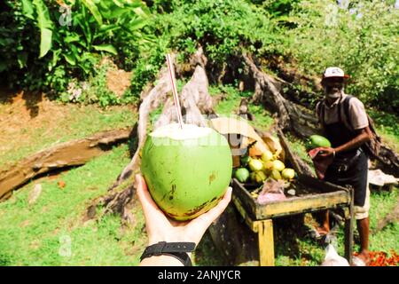 ST GEORGE GRENADA ANTILLE isola-Aprile 20, 2018. Il Cocco nel fuoco. Uomo di cocco vendita vicino alla foresta. Foto Stock