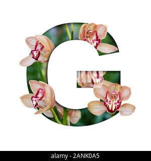 Flower font. Lettera G realizzati da fiori naturali. Composizione di splendide orchidee. Il testo in forma di piante tropicali Foto Stock