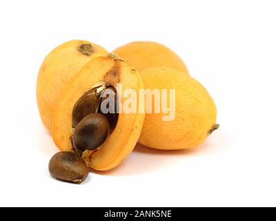 Nespole del Giappone giapponese, Eriobotrya japonica, contro uno sfondo bianco Foto Stock