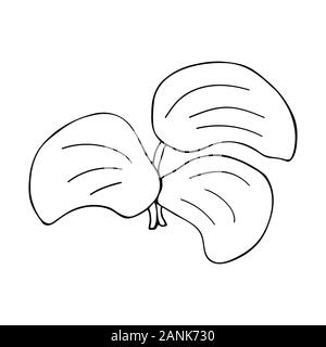 Primavera Estate impianto in stile scarabocchio. Semplice in bianco e nero illustrazione Illustrazione Vettoriale