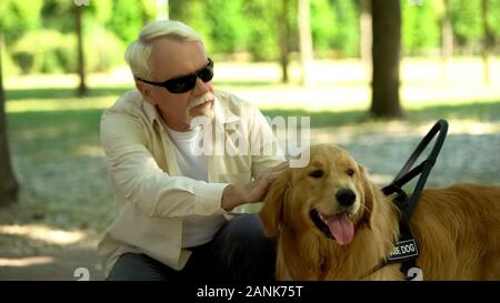 Senior cieco uomo amorevolmente accarezzare cane guida, sensazione di gratitudine per aiutare, amico Foto Stock