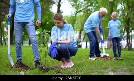 Volontari piantare alberelli nel parco, risorse naturali conservazione, cura Foto Stock