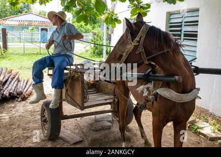 L'agricoltore. El Cayuco, Pinar del Río, Cuba. Foto Stock