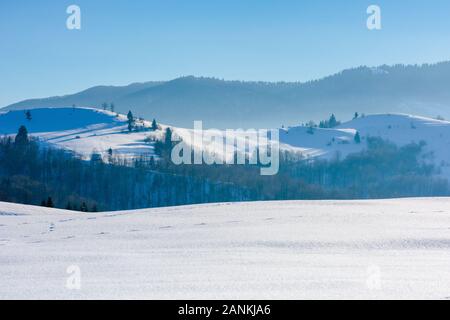 Campagna montana in inverno. alberi sulla coperta di neve prati e colline. tempo splendido in una luminosa giornata di sole in inverno. bella carpathia Foto Stock