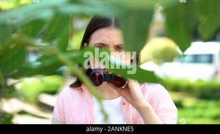 Giornalista con il binocolo nascosto dietro gli alberi, ricerca di sensazione Foto Stock