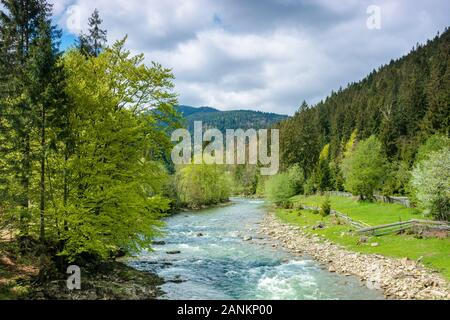 Fiume in montagna. splendida primavera paesaggio di campagna dei Carpazi. blu acqua verde tra la foresta e la spiaggia rocciosa. staccionata in legno sul fiume b Foto Stock