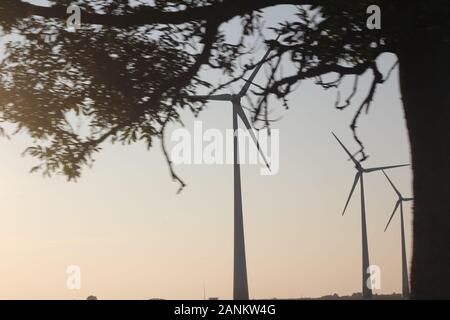 Tre mulini a vento, turbine eoliche in piedi nel campo al tramonto Foto Stock