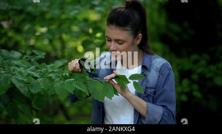 La donna caucasica guardando le foglie attraverso la lente di ingrandimento, la natura, la ricerca Foto Stock