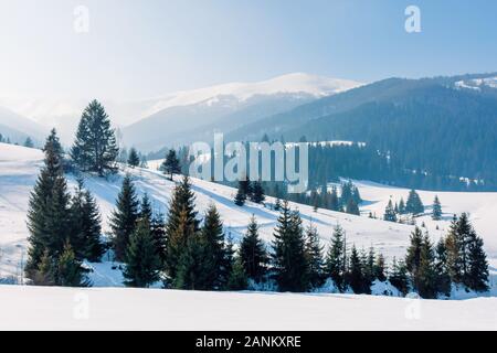 Paesaggio di montagna in inverno. incredibile acenery su un luminoso giorno. foreste di abete rosso su fondo stradale coperto di neve colline. bellissimo scenario di borzhava Foto Stock