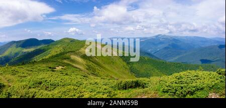 Paesaggio di montagna. escursionismo e il concetto di turismo. colline e distanti creste verdi pendii erbosi. tempo soleggiato con nuvole in estate Foto Stock