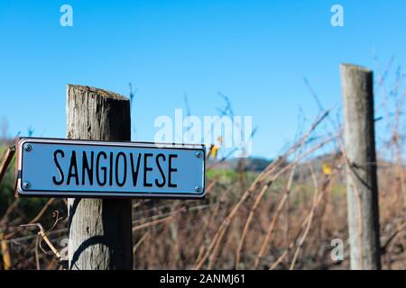 Il Sangiovese varietà per uva da vino segno sulla verticale di legno fine post. Foto Stock