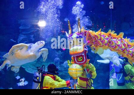 Pechino, Cina. Xvii gen, 2020. I subacquei eseguire underwater dragon dance ad un acquario di Kuala Lumpur in Malesia, Gennaio 17, 2020, per salutare il nuovo anno lunare cinese. Credito: Chong Voon Chung/Xinhua/Alamy Live News Foto Stock