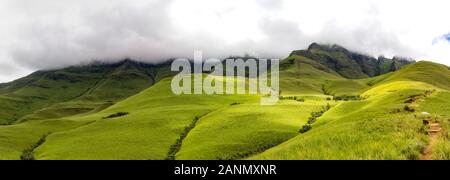 Panorama con un piccolo sentiero che conduce a Blindman's Corner, prati verdi e soft verde delle montagne, del fratello cruscotto, Champagne Castle e Cathkin Peak Sindone Foto Stock