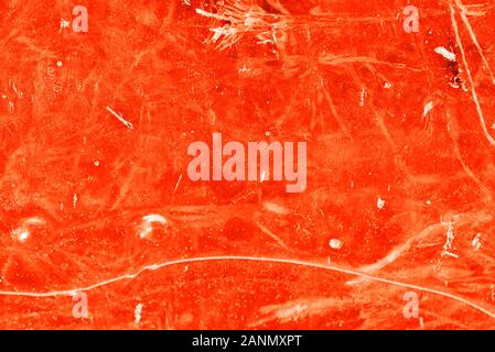 Erba secca sotto il ghiaccio trasparente di close-up. Abstract naturale sfondo arancione nei toni del colore Foto Stock