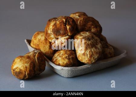 Deserto tartufi dal Kuwait, Arabia Saudita, Iraq e Iran Foto Stock