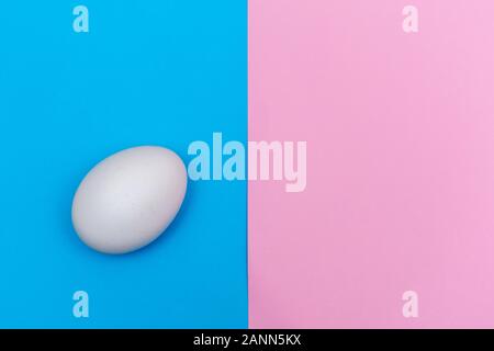 Vacanze di Pasqua laici piatta con uovo bianco su un solido blu luminoso e vibrante rosa pastello e sfondo con copia spazio. Foto Stock