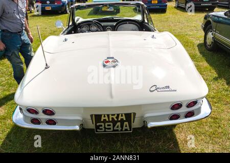 Vista posteriore di una classica cabriolet Chevrolet Corvette esposta ad una mostra di auto all'aperto con erba verde e altri veicoli intorno Foto Stock