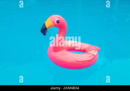 Cerchio in un pool di Flamingo. Messa a fuoco selettiva. la natura. Foto Stock