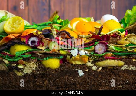 Earthwoms vivere in un colorato composto ammucchi costituito da marciume avanzi di cucina Foto Stock