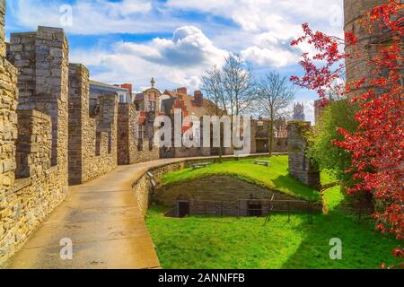 Ghent, Belgio, cortile interno del Castello di Gravensteen o Castello dei Conti, molla alberi panorama Foto Stock