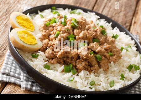 Taiwanese brasati di carne di maiale con riso con uova sode o close-up in una piastra sul tavolo orizzontale. Foto Stock