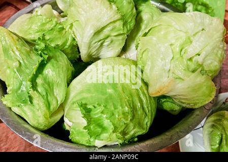 Close-up di diverse raccolte di fresco insalata verde teste in una ciotola per la vendita a un cavalletto di agricoltori in Leon, provincia di Iloilo, Filippine, Asia Foto Stock