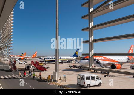 Region de Murcia Aeroporto Internazionale, Corvera, Costa Calida, Spagna, Europa. Occupato con EasyJet e Ryanair aereo jet piani. Passeggeri a piedi Foto Stock