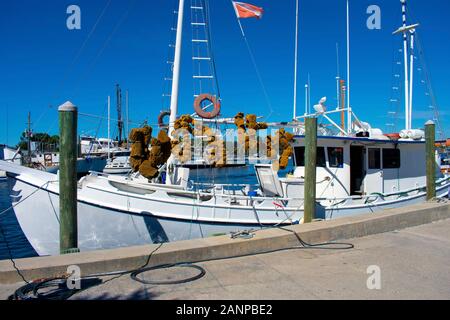 Barca di spugna a Tarpon Springs, in Florida, dopo una giornata di immersioni in spugna Foto Stock