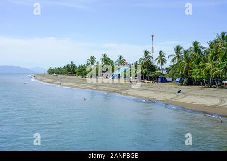 La fauna selvatica , gli uccelli e gli animali lungo il fiume Tarcoles in Puntarenas, Costa Rica, America Centrale, crociera sul fiume per turisti, Foto Stock