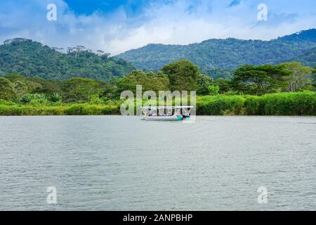 La fauna selvatica , gli uccelli e gli animali lungo il fiume Tarcoles in Puntarenas, Costa Rica, America Centrale, crociera sul fiume per turisti, Foto Stock