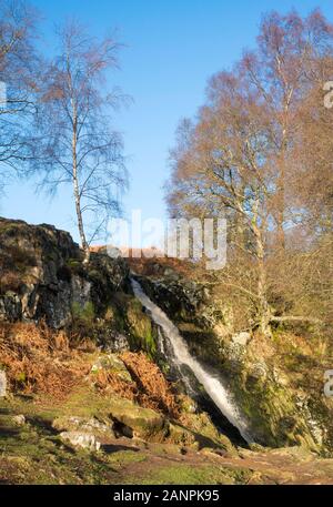 Tubo di lancio Linhope una cascata all'interno del Parco nazionale di Northumberland, England, Regno Unito Foto Stock