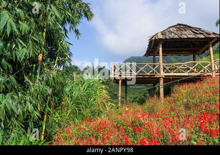 Il bambù arbor tra fiori di montagna contro lo sfondo di campi di riso Foto Stock