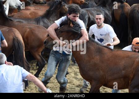 SABUCEDO, Spagna - 6-7 luglio 2019 - La Rapa Das Bestas (tranciatura delle bestie) 2019 tenutasi a Sabucedo Galizia Spagna Foto Stock