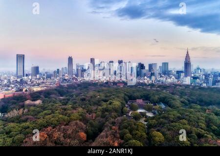 Sacrario scintoista Meiji-Jingu in Tokyo centrale vicino a Shinjuku quartiere business di sunrise in antenna elevata vista sul verde parco e giardino verso piazzali Foto Stock