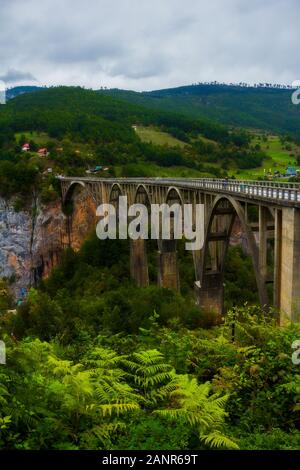 Djurdjevica Bridge è un ponte di arco concreto oltre il Fiume Tara canyon, montagne e foreste intorno alla natura del Durmitor park, Montenegro Foto Stock