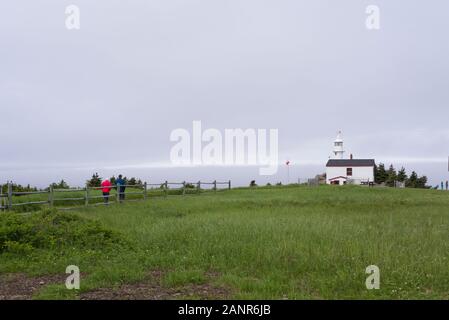 Lobster Cove Capo Faro - Parks Canada Parco Nazionale Gros Morne, Rocky Harbour, Terranova, Canada. Foto Stock