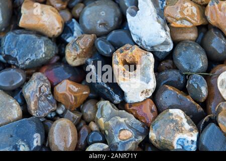 Chiusura del nodulo di selce sul Tamigi foreshore, Greenwich, Londra Foto Stock