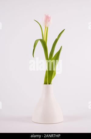 Eleganti tulipani in vaso minimalista su sfondo bianco. Spazio per textCongratulation. Il giorno di San Valentino, molla, Pasqua. Spazio per il testo. Foto Stock