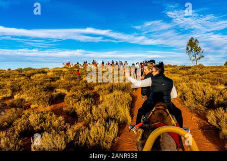 Un cammello tour tramonto nell'outback australiano. Uluru, Territorio del Nord, l'Australia Foto Stock