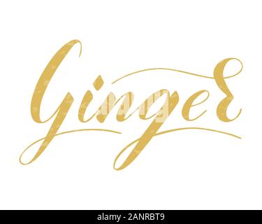 Vector scritto a mano lo zenzero isolato di testo su sfondo bianco. Cucina sana le erbe e le spezie per cucinare. Script brushpen lettering con fiorisce. Illustrazione Vettoriale