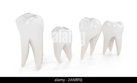 Illustrazione 3d denti sani isolati su sfondo bianco. Set di denti. Il concetto di spazzolatura dei denti, cura e protezione contro le carie. Cura orale Foto Stock