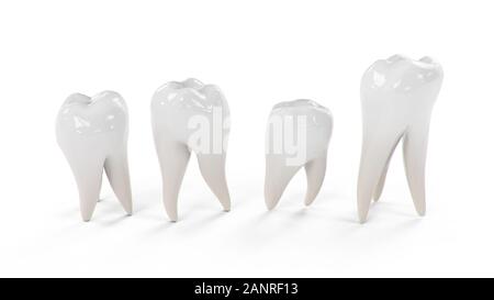 Illustrazione 3d denti sani isolati su sfondo bianco. Set di denti. Il concetto di spazzolatura dei denti, cura e protezione contro le carie. Cura orale Foto Stock