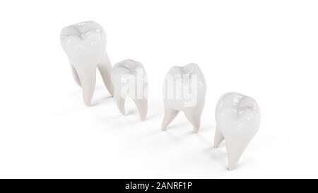 Illustrazione 3d denti sani isolati su sfondo bianco. Set di denti. Il concetto di spazzolatura dei denti, cura e protezione contro le carie. Cura orale Foto Stock